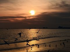 -老虎石海上公园