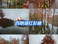 -四明湖
