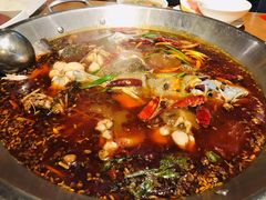 -红牌美蛙鱼头火锅(万辉国际广场店)