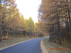 -塞罕坝国家级自然保护区