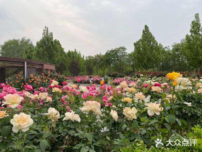 坝河休闲公园图片