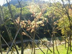 -三块石国家森林公园