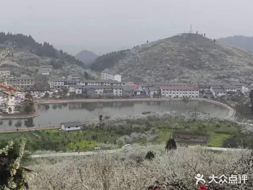 这里最好自驾，坐车不方便，属于郊区旅游景点