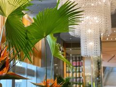 大堂-君悦酒店·La Terrazza意合園·意式风味