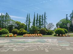 -上海长兴岛郊野公园