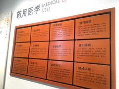 -中国沉香文化博物馆