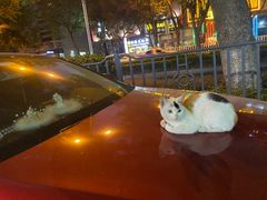 -手佳·水疗汇(嘉益店)