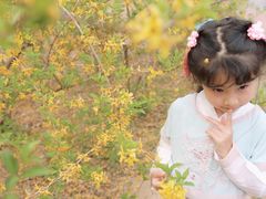 -永定河休闲森林公园