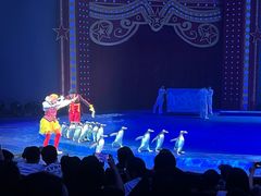 -珠海横琴长隆《卡卡虎奇遇记》