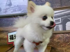 -胡桃里音乐酒馆(仓山万达店)