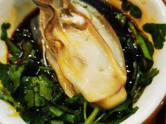 -濠轩阁特色生蚝火锅(水湾路店)
