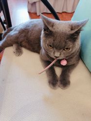 -Miss·A日式美甲美睫