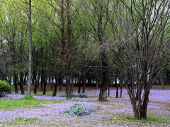 -长广溪湿地公园