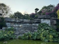 -南宁南湖公园