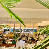 来IFS看花花🐼吃波龙🦞冬阴功火锅啦~