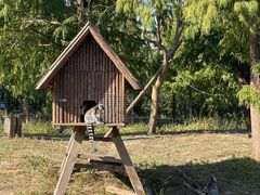 -宁波杭州湾国家湿地公园