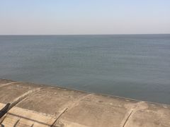 -东疆建设开发纪念公园