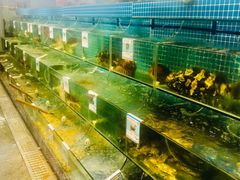 水产区-范饭椰林川湘味海鲜·椰子鸡(三亚湾椰梦长廊店)