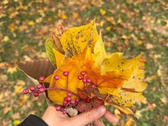 -国家植物园南园