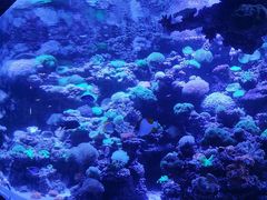 -太平洋海底世界