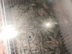 -布罗城堡自助烧烤(鸿通城购物中心店)
