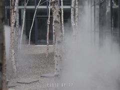 -intime coffee(芝麻街店)