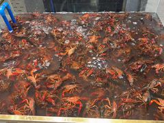 -半岛听涛蒸汽海鲜自助(K11店)