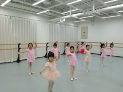 -中央芭蕾舞团·中芭艺蕾(酒仙桥明星校区)