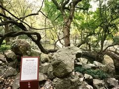 -绮园景区