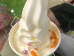 -Salud撒露欧洲冻酸奶(北苑上品店)