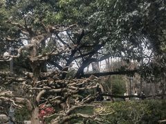 -成都武侯祠博物馆