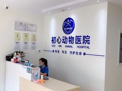 -初心动物医院