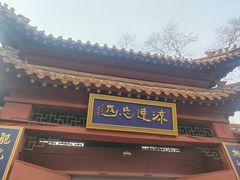 -桃花堤公园