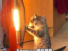 -全味面馆