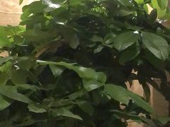 -鹤祥宫·影院足道·SPA连锁(鸿尊布吉店)