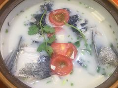 -全乐鱼馆·淳牌有机鱼直营店