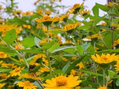 -星巴克(宁波月湖盛园店)