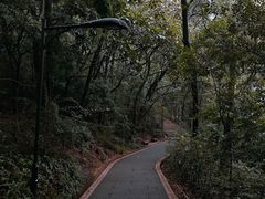 -广州市白云山风景名胜区