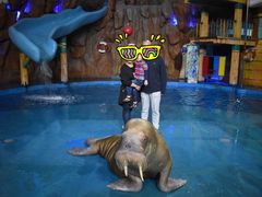 -烟台海昌鲸鲨海洋公园