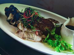 -东鸽皇(奥园·中环广场店)