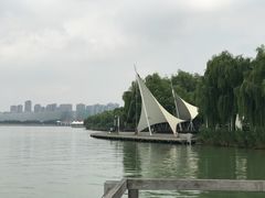 景点-金鸡湖桃花岛