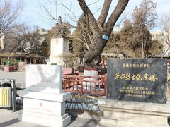 -文瀛公园