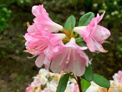 -南山风景名胜区