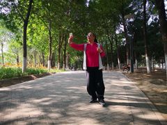 -大兴滨河森林公园