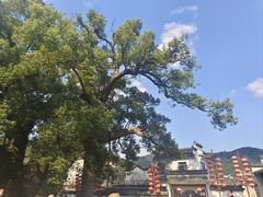 -新安江山水画廊风景区