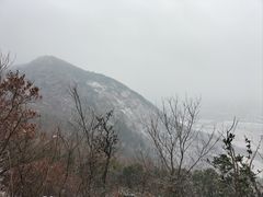 -树山生态村