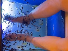 -汤连得温泉馆(宝山店)