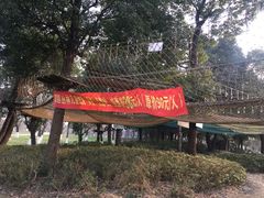 -秀丽东方
