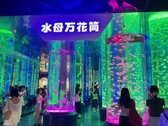 -海合安成都极地海洋公园