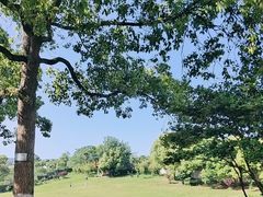 -雨花胜境